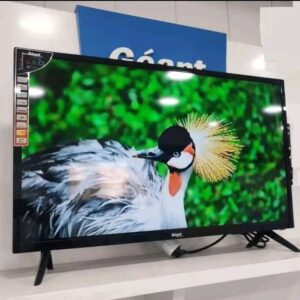 Téléviseur géant 32 Pouces simple